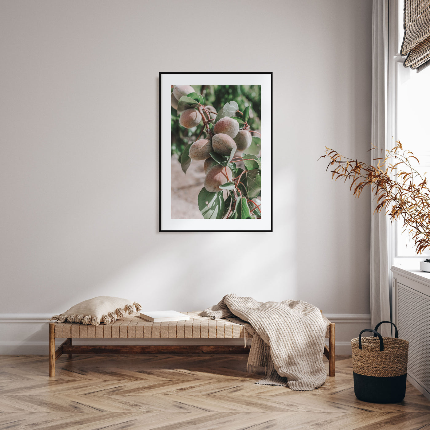Green Apricots Tree Photo Color Poster