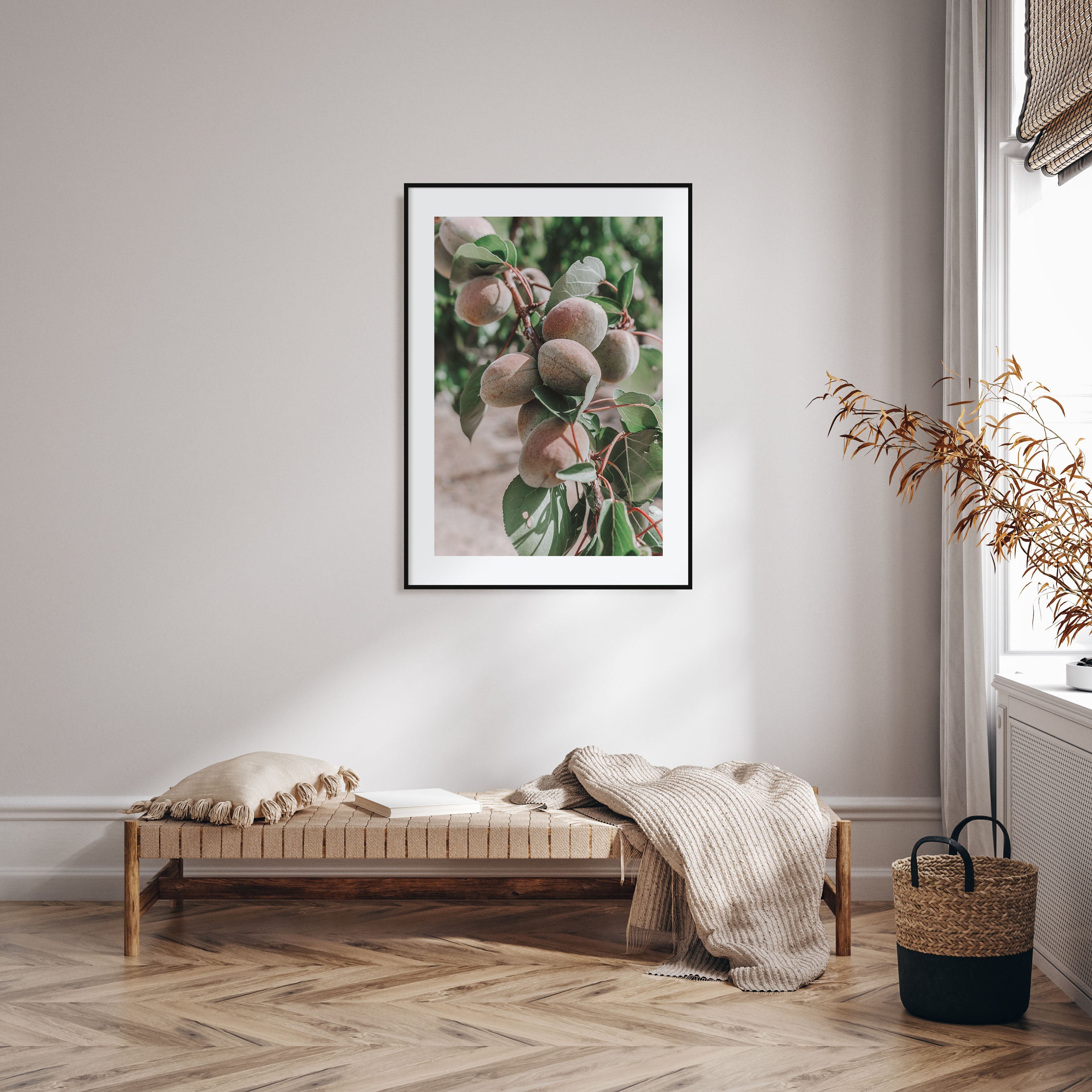 Green Apricots Tree Photo Color Poster