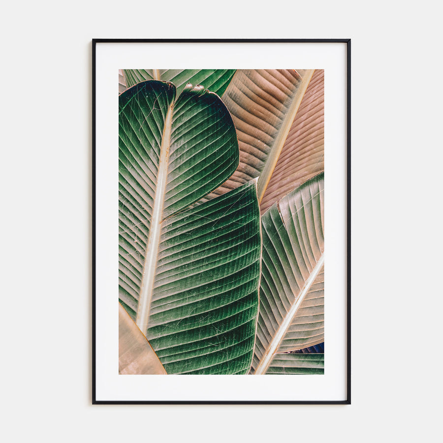 Green Palm Leaf Photo Color Poster