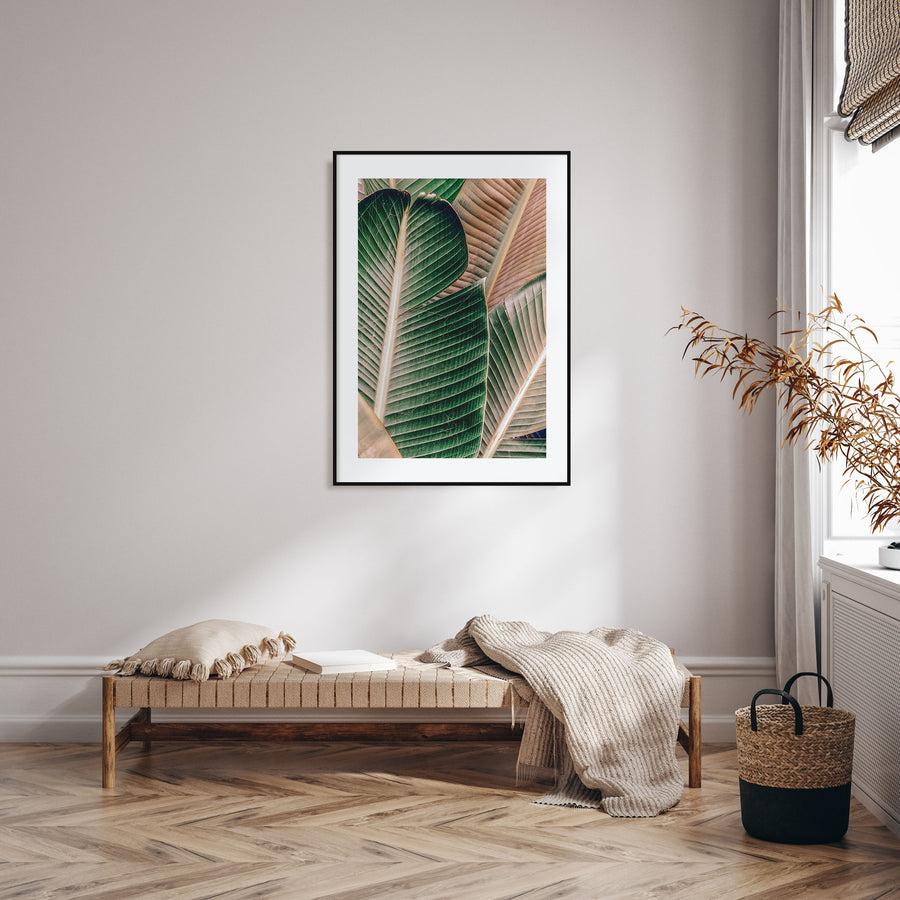 Green Palm Leaf Photo Color Poster