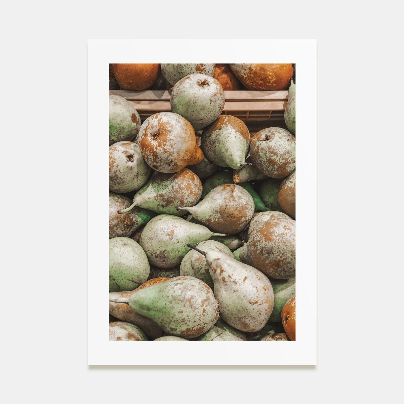 Green Pears Photo Color Poster