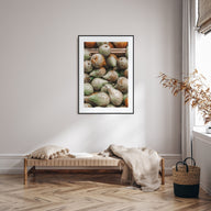 Green Pears Photo Color Poster