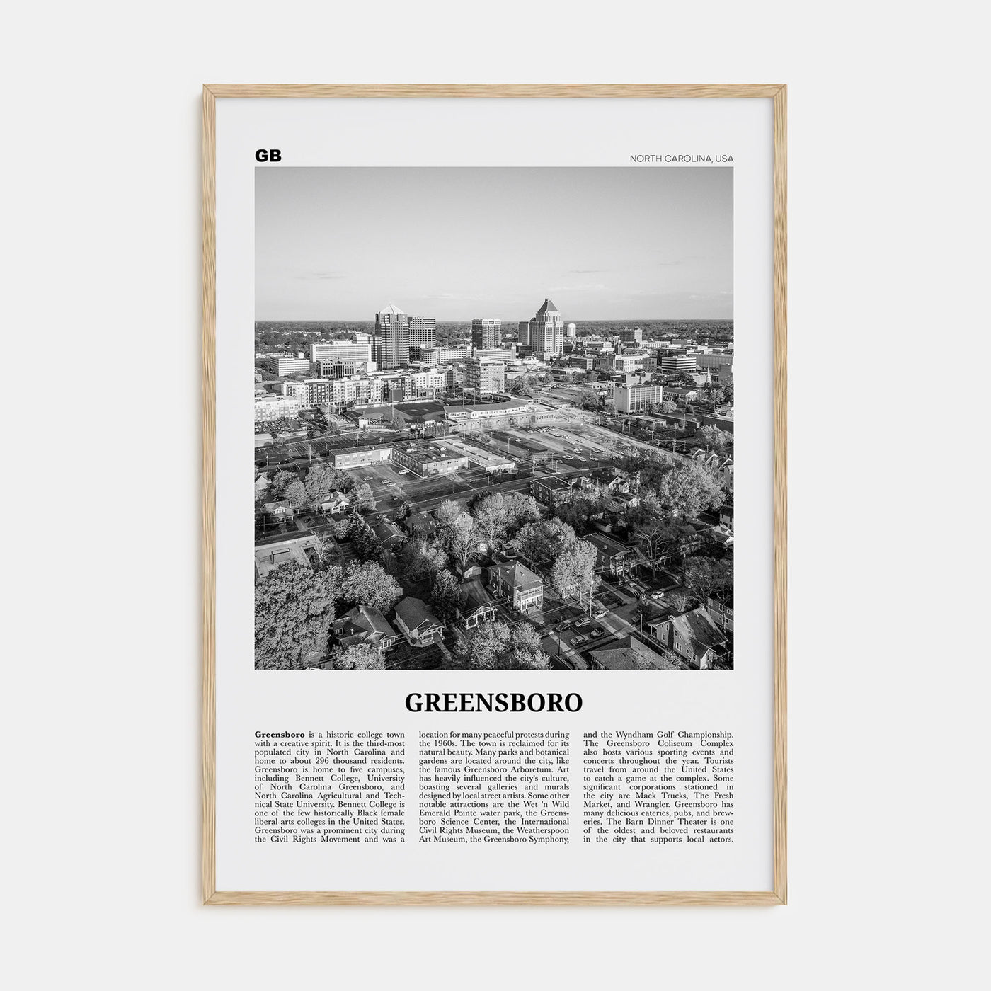 Greensboro Travel B&W No 1 Poster