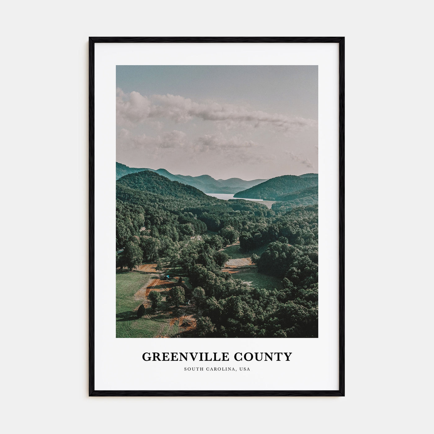 Greenville County Portrait Color Poster