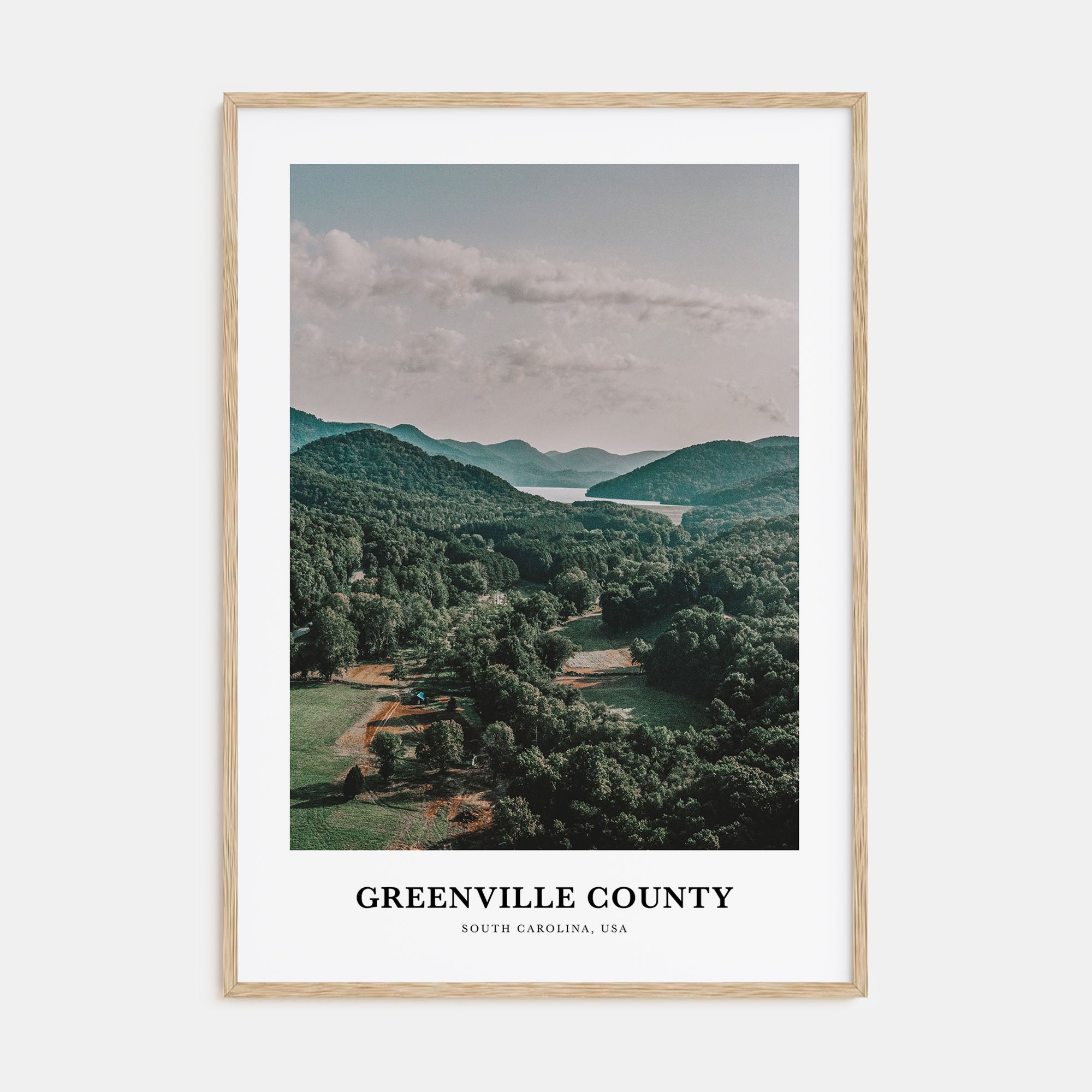 Greenville County Portrait Color Poster