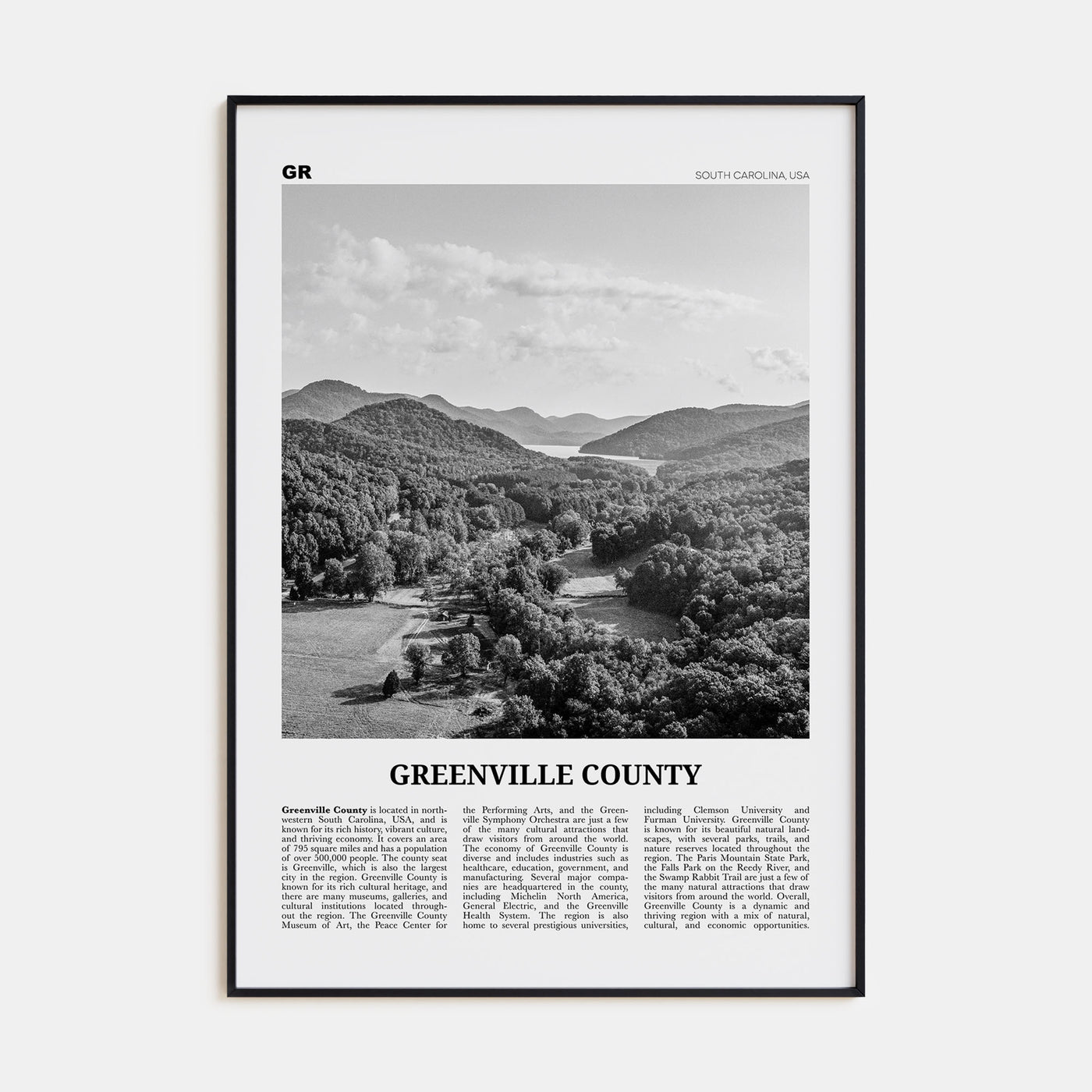 Greenville County Travel B&W Poster