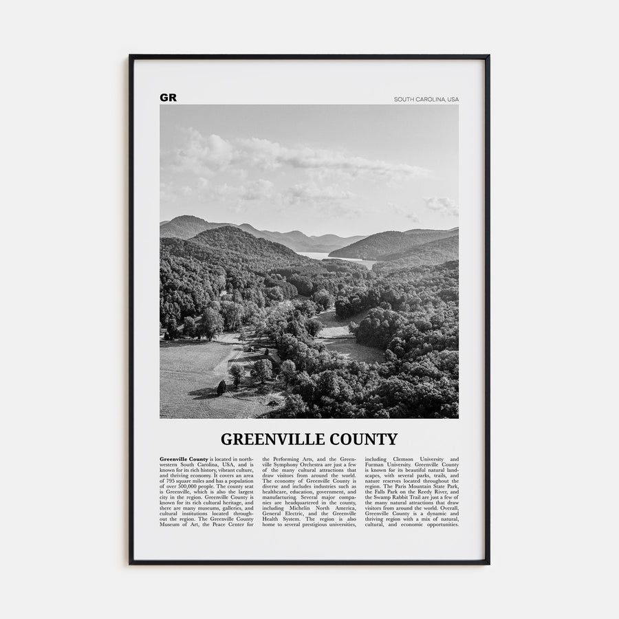 Greenville County Travel B&W Poster