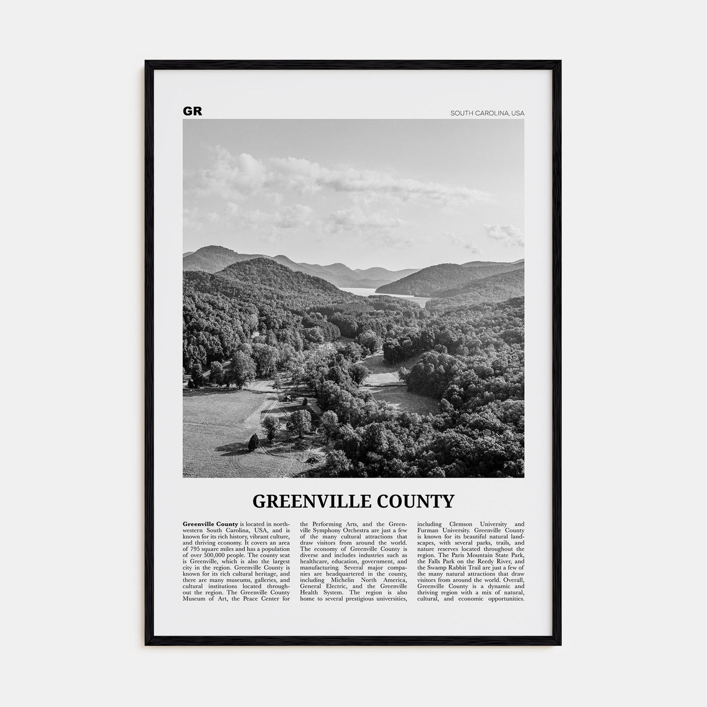 Greenville County Travel B&W Poster