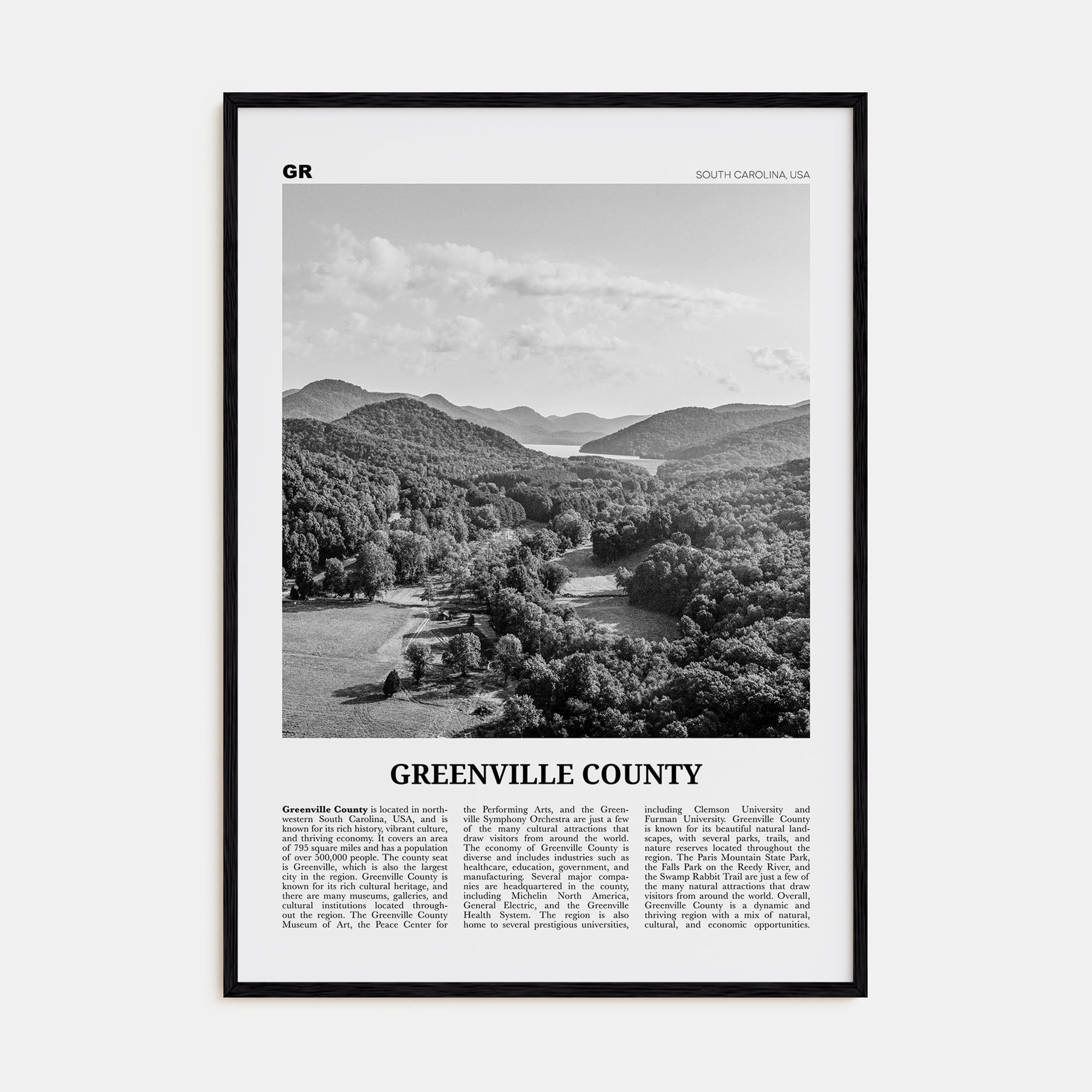Greenville County Travel B&W Poster