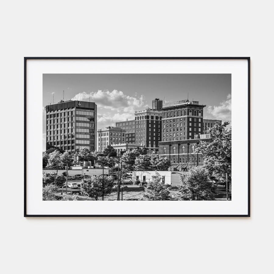 Greenville Landscape B&W Poster