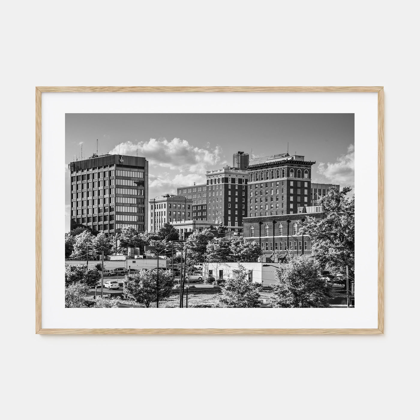 Greenville Landscape B&W Poster