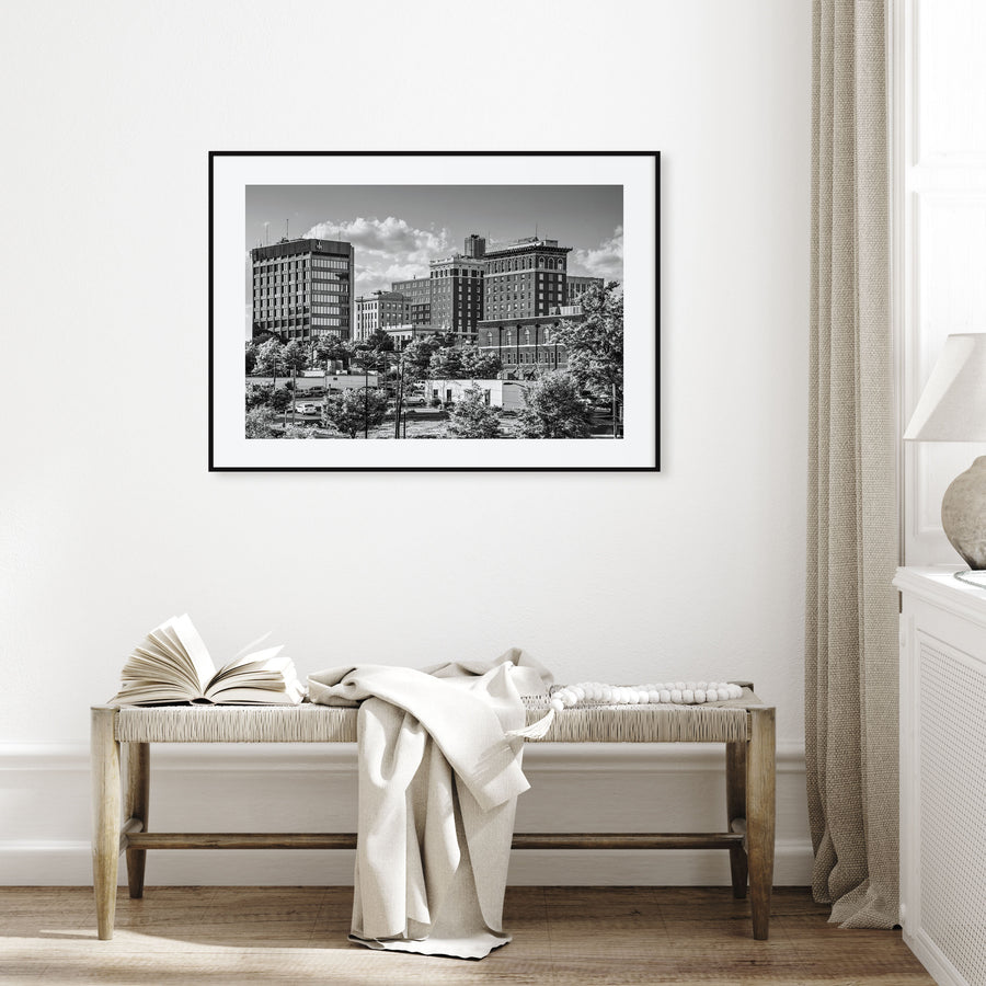 Greenville Landscape B&W Poster