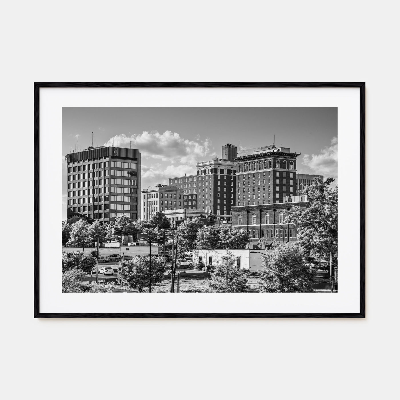 Greenville Landscape B&W Poster