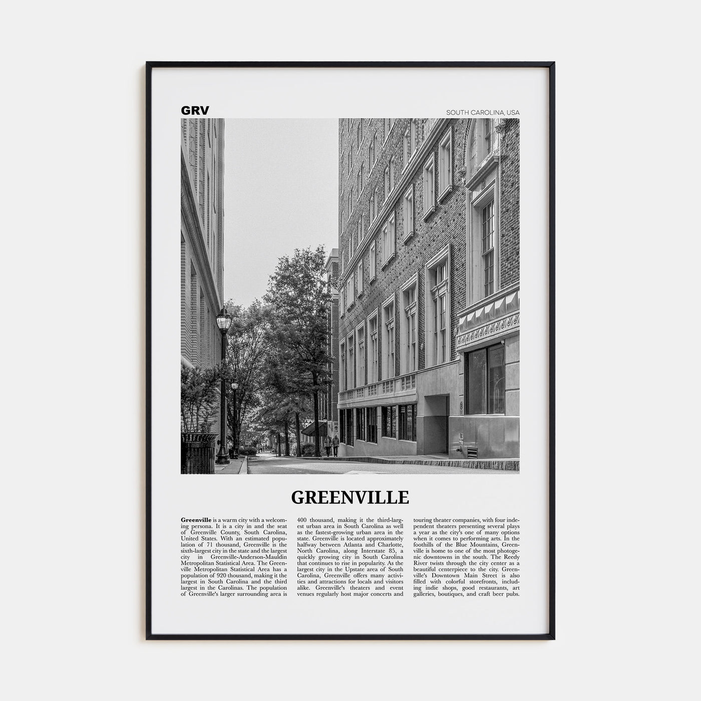 Greenville Travel B&W No 2 Poster