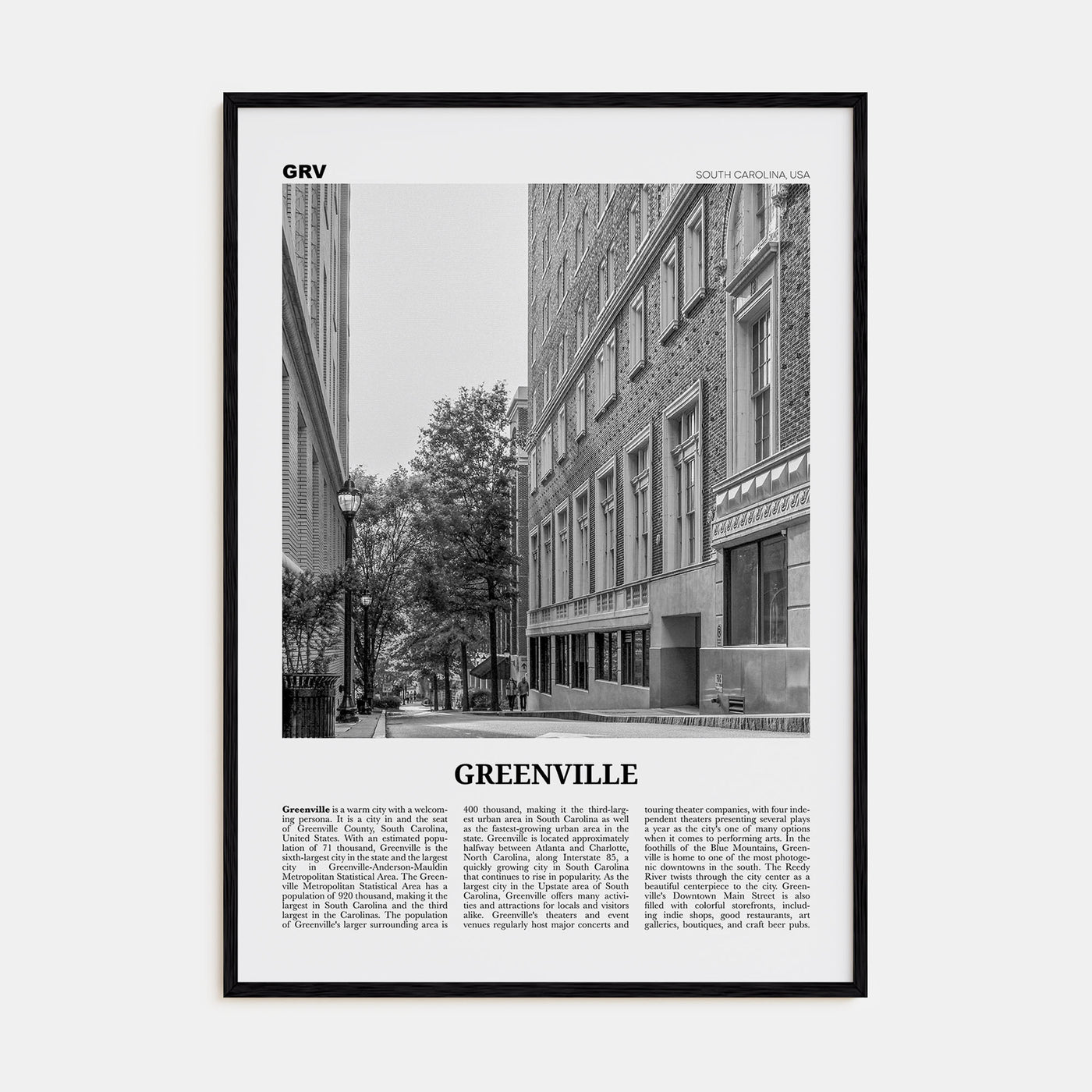Greenville Travel B&W No 2 Poster
