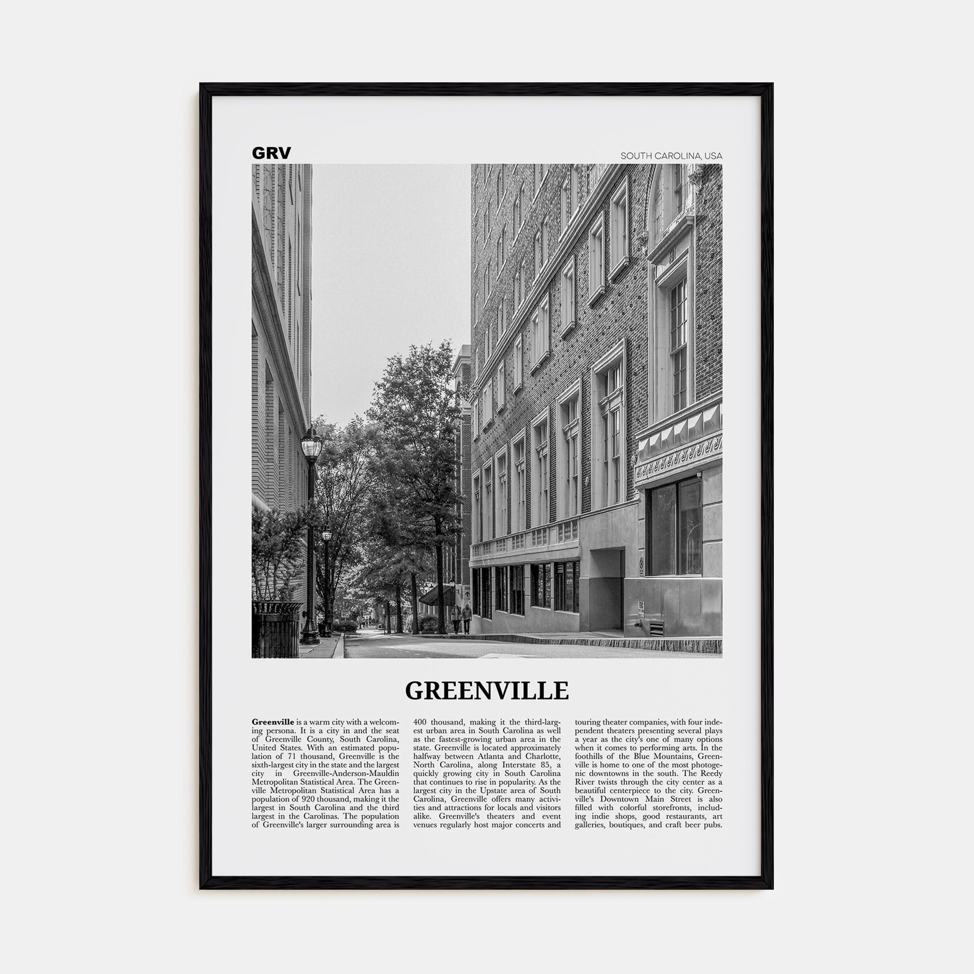Greenville Travel B&W No 2 Poster