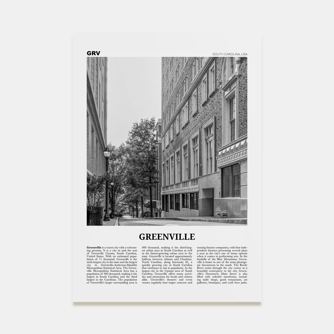 Greenville Travel B&W No 2 Poster