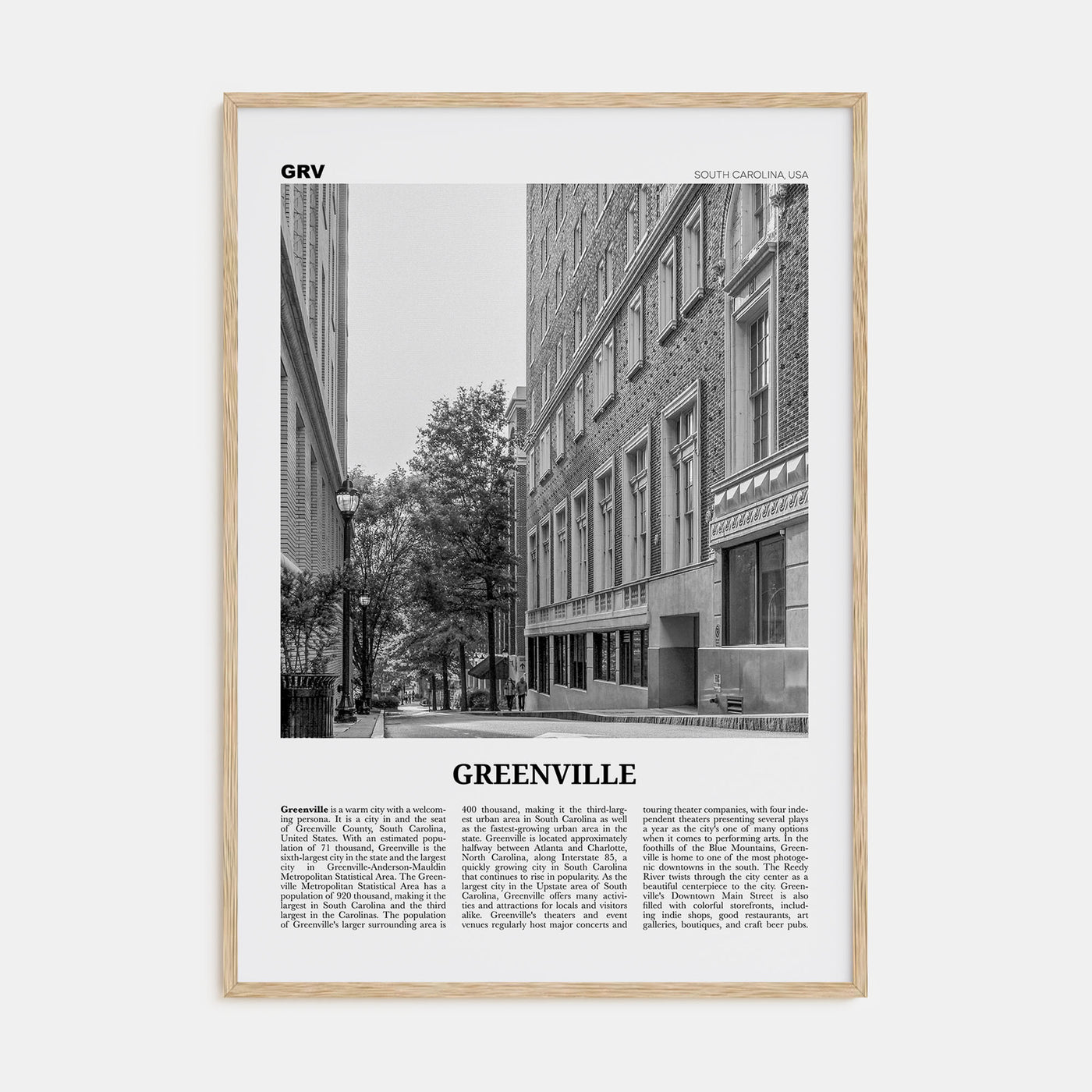 Greenville Travel B&W No 2 Poster