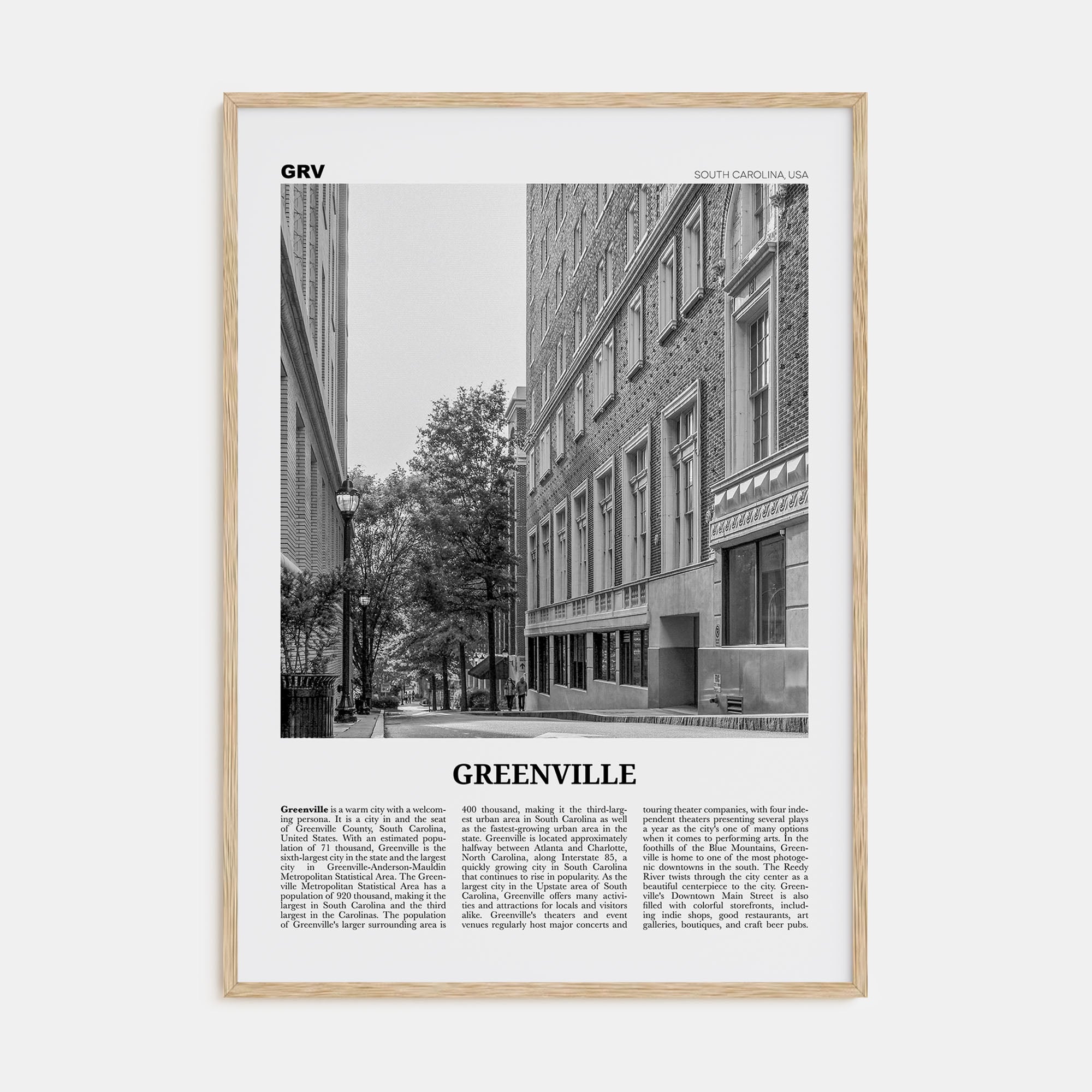 Greenville Travel B&W No 2 Poster