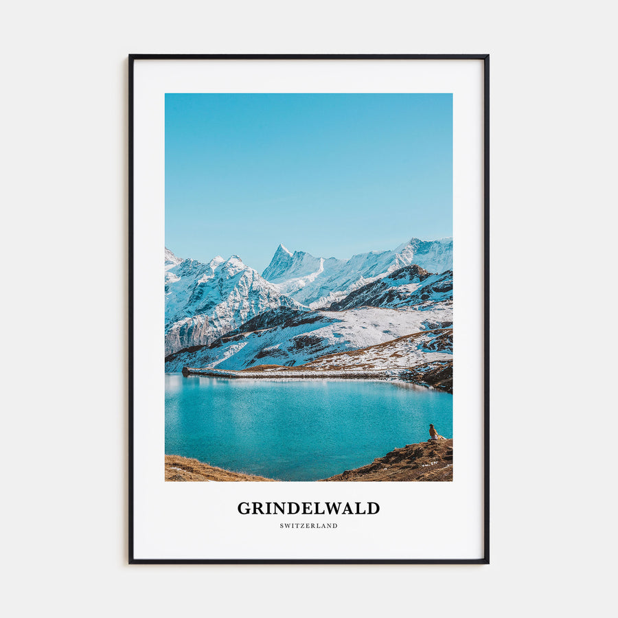 Grindelwald Portrait Color Poster