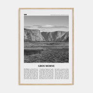 Gros Morne Travel B&W Poster