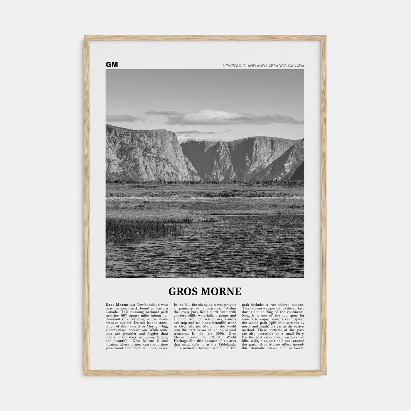 Gros Morne Travel B&W Poster