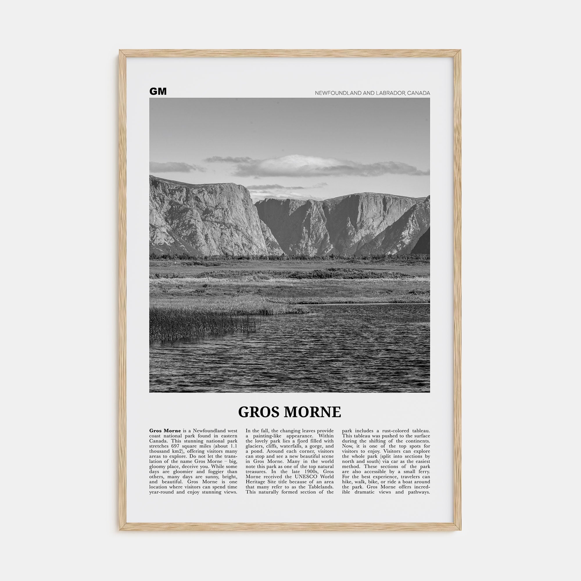 Gros Morne Travel B&W Poster