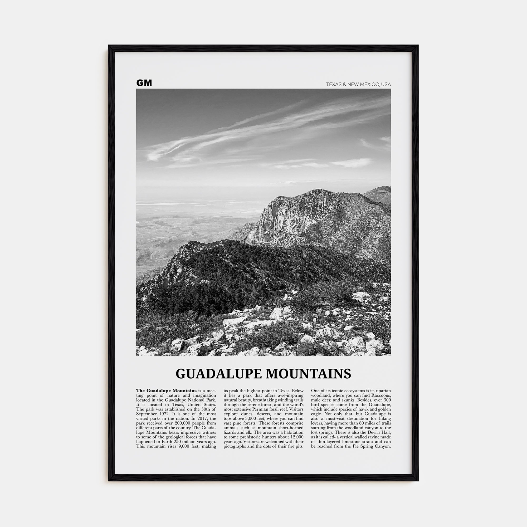 Guadalupe Mountains Travel B&W Poster