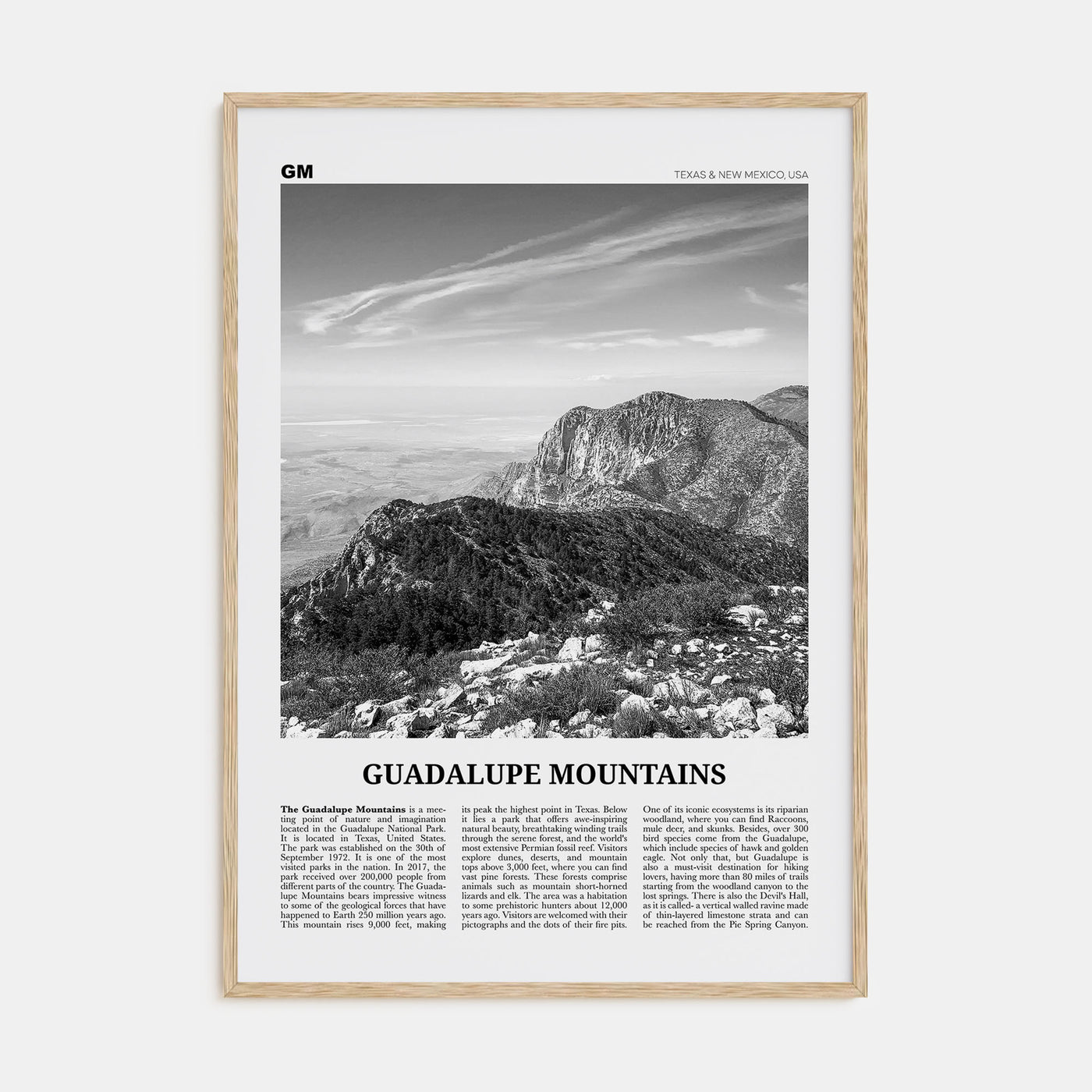 Guadalupe Mountains Travel B&W Poster