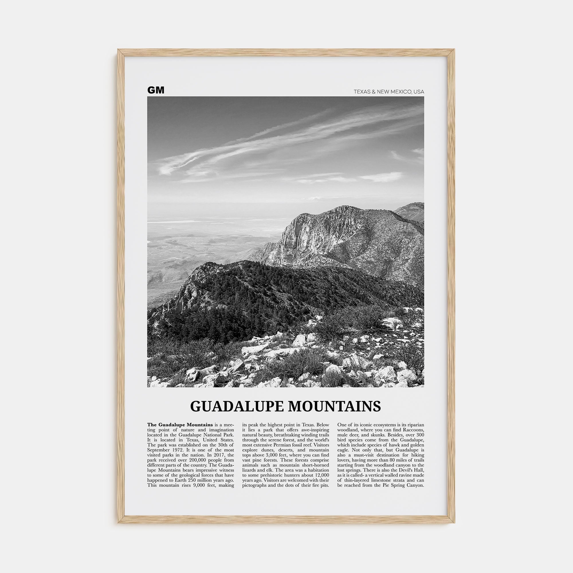 Guadalupe Mountains Travel B&W Poster