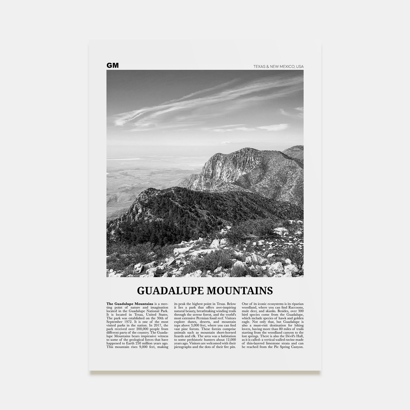 Guadalupe Mountains Travel B&W Poster