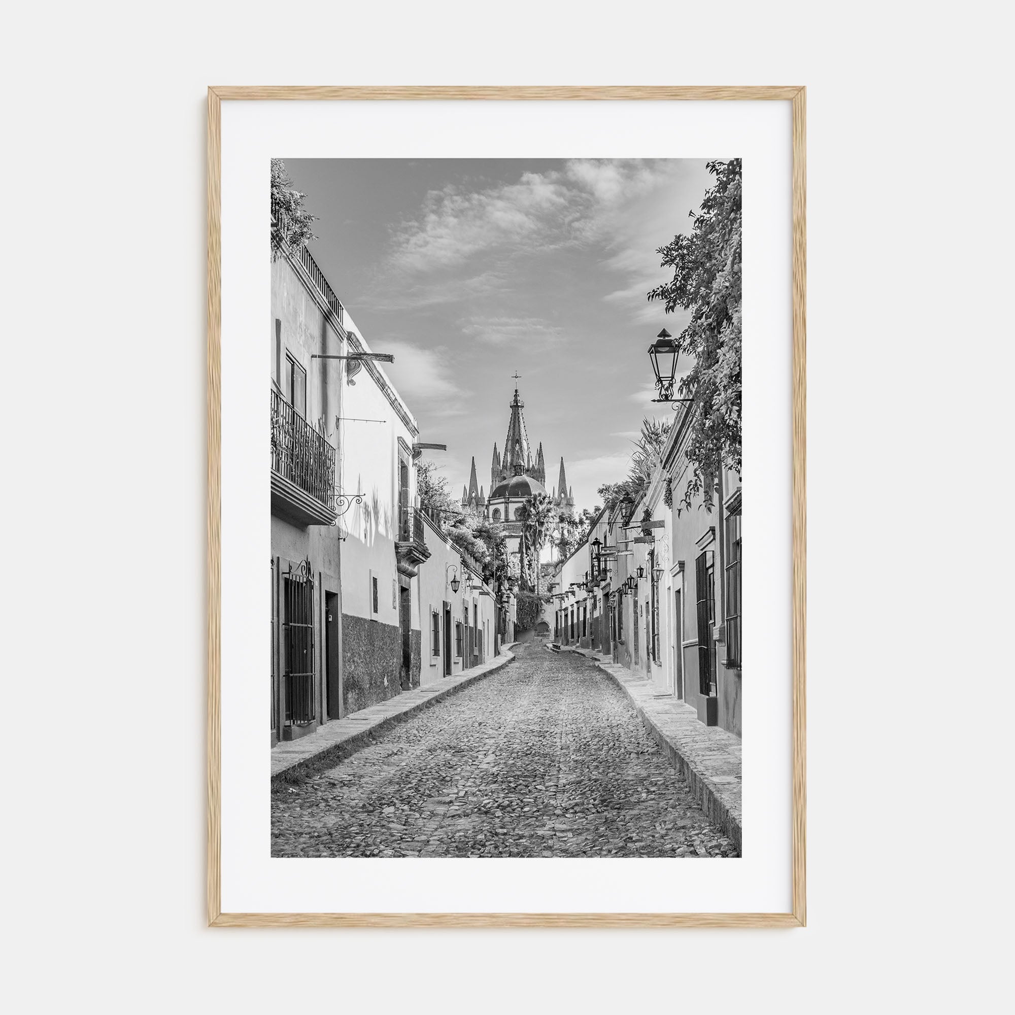 Guanajuato City Photo B&W Poster