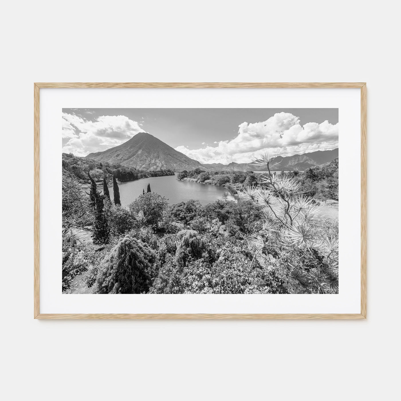 Guatemala Landscape B&W Poster