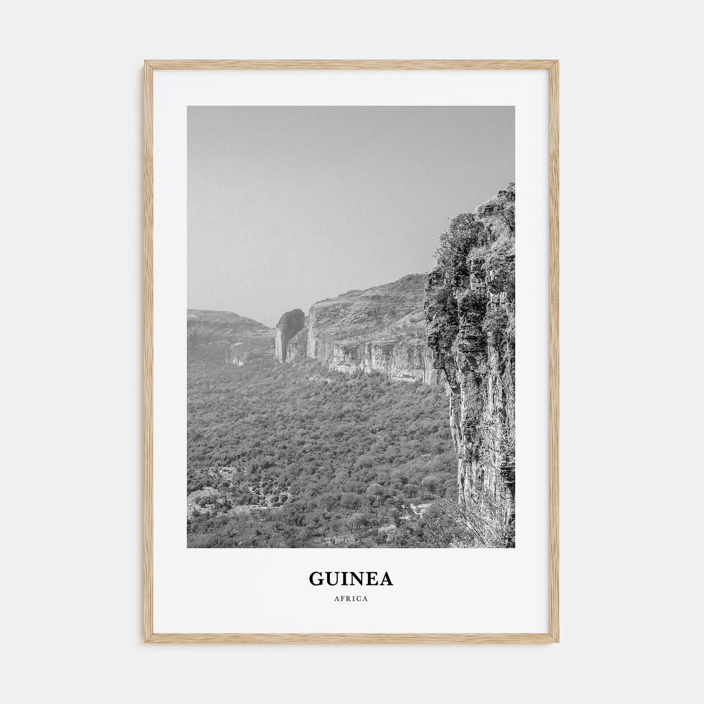 Guinea Portrait B&W Poster