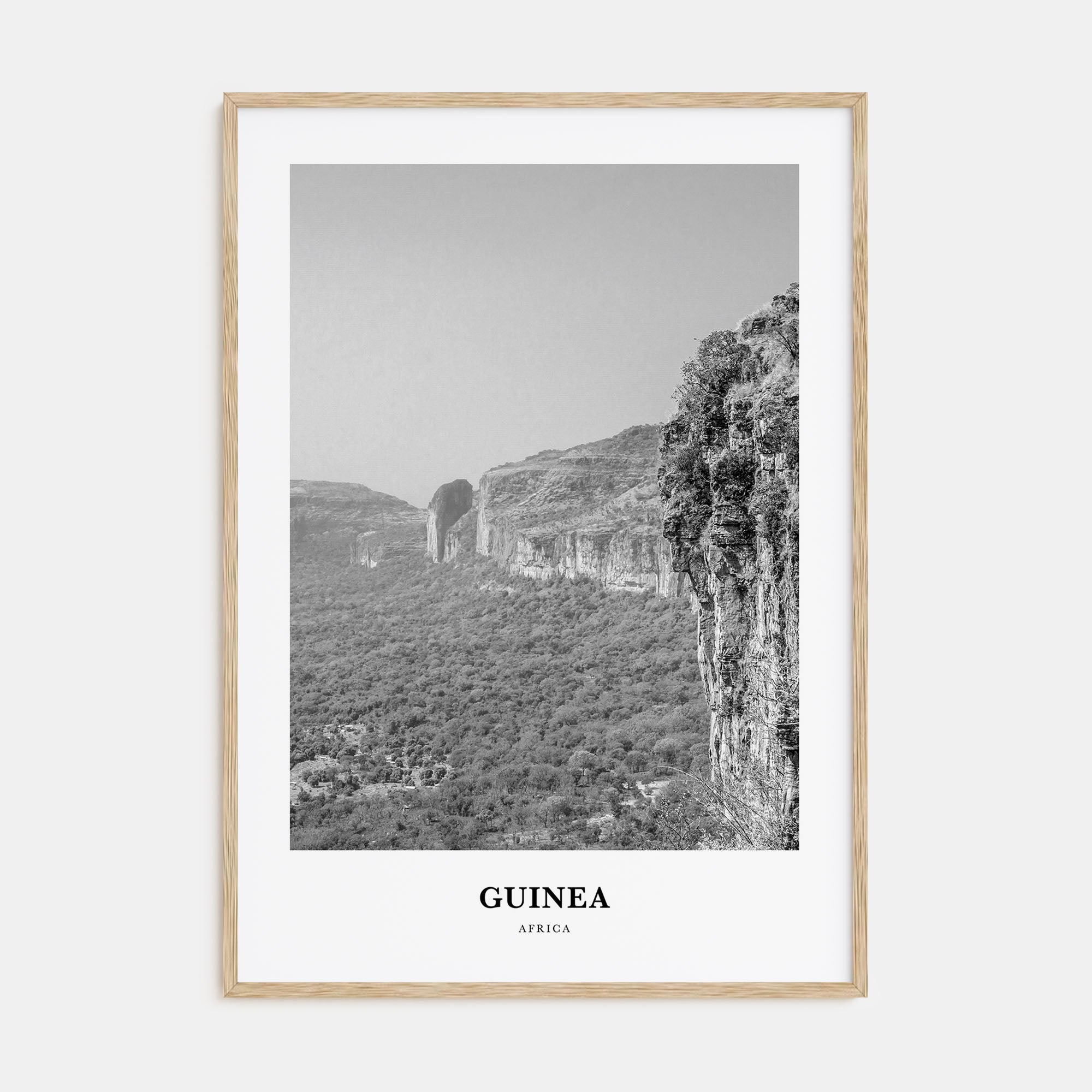 Guinea Portrait B&W Poster