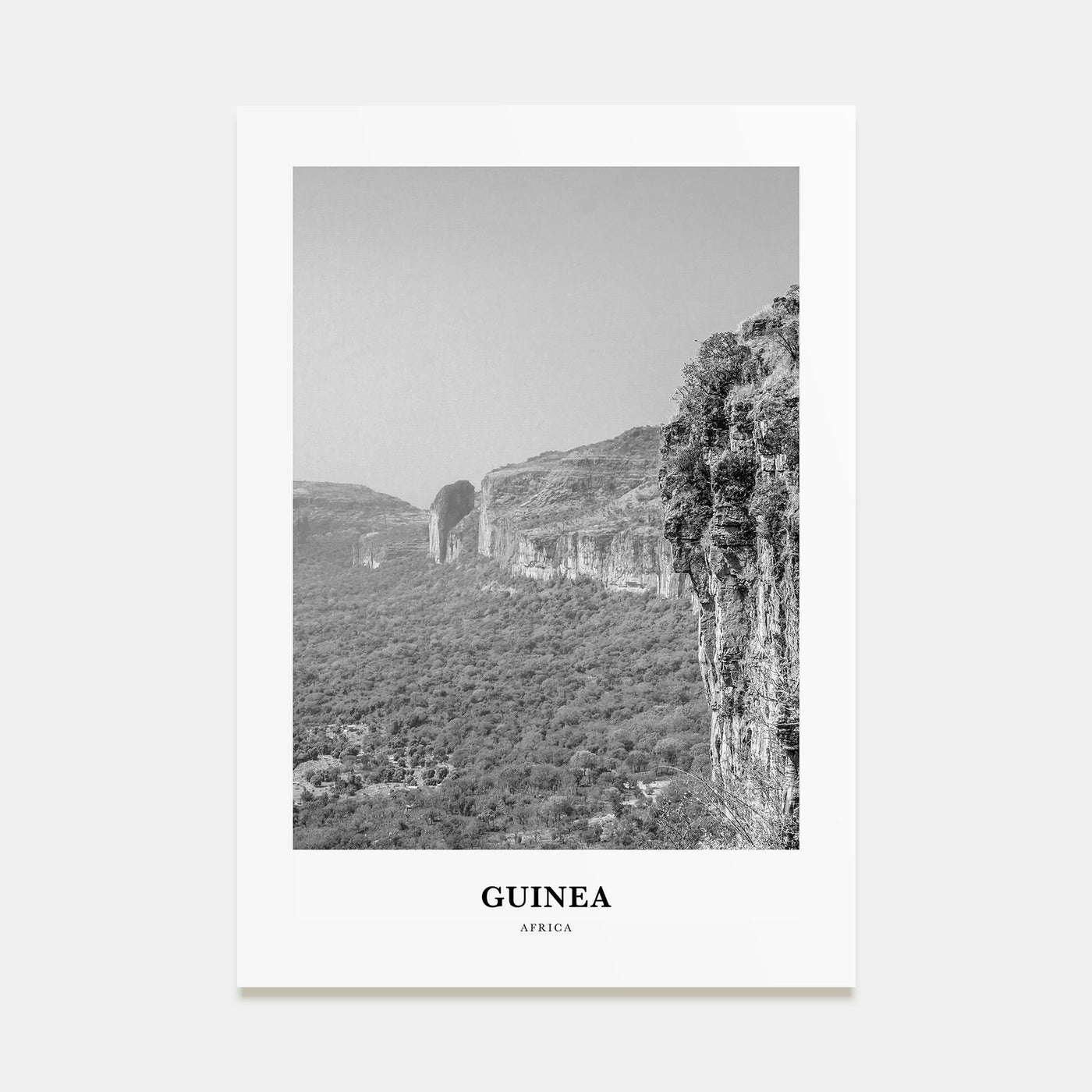Guinea Portrait B&W Poster