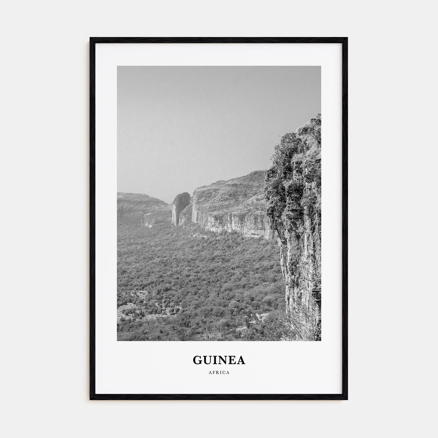 Guinea Portrait B&W Poster