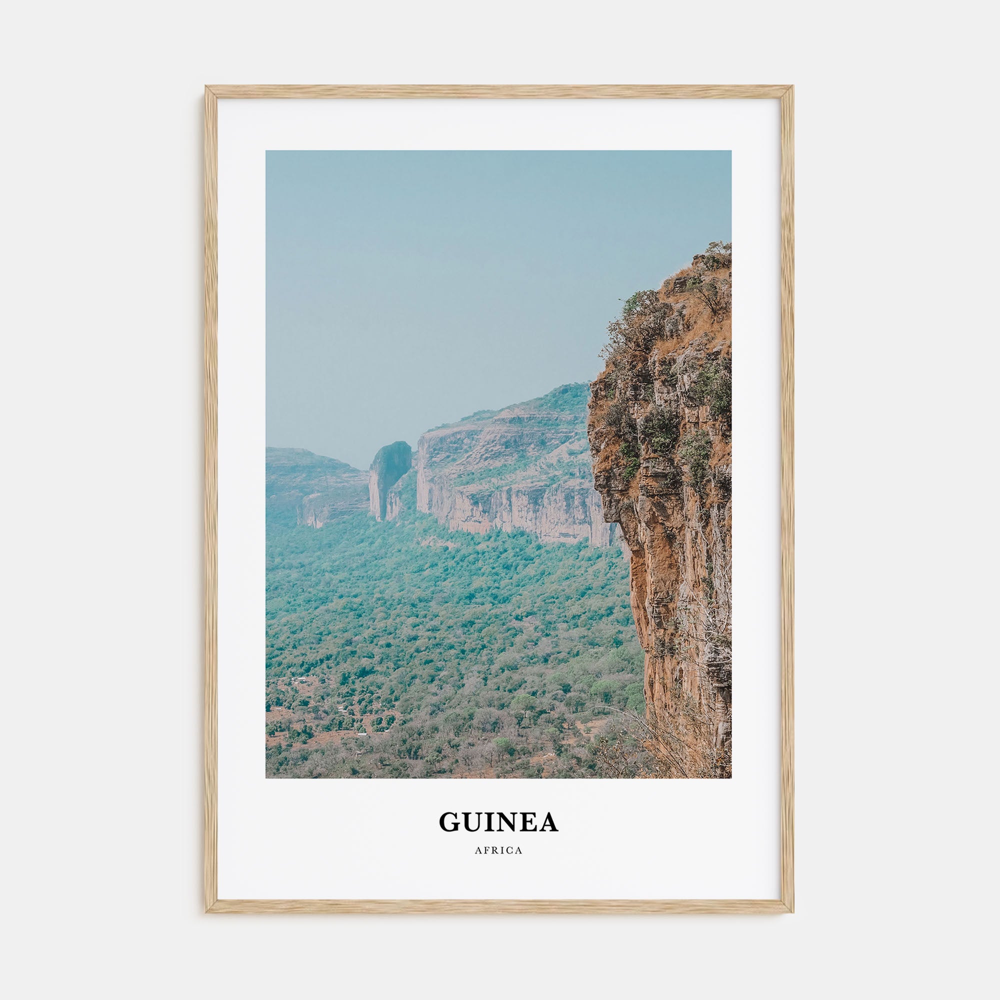 Guinea Portrait Color No 2 Poster