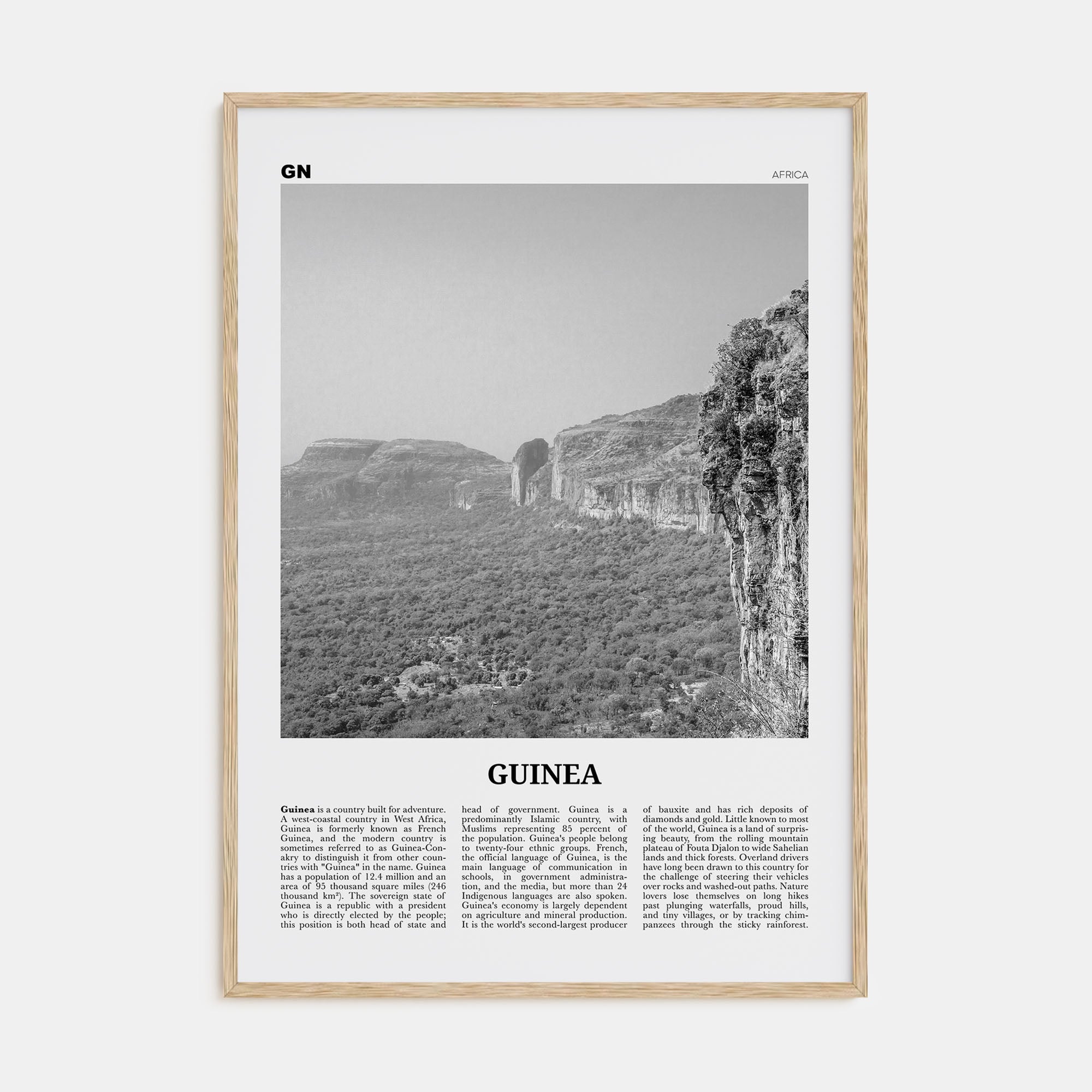 Guinea Travel B&W Poster