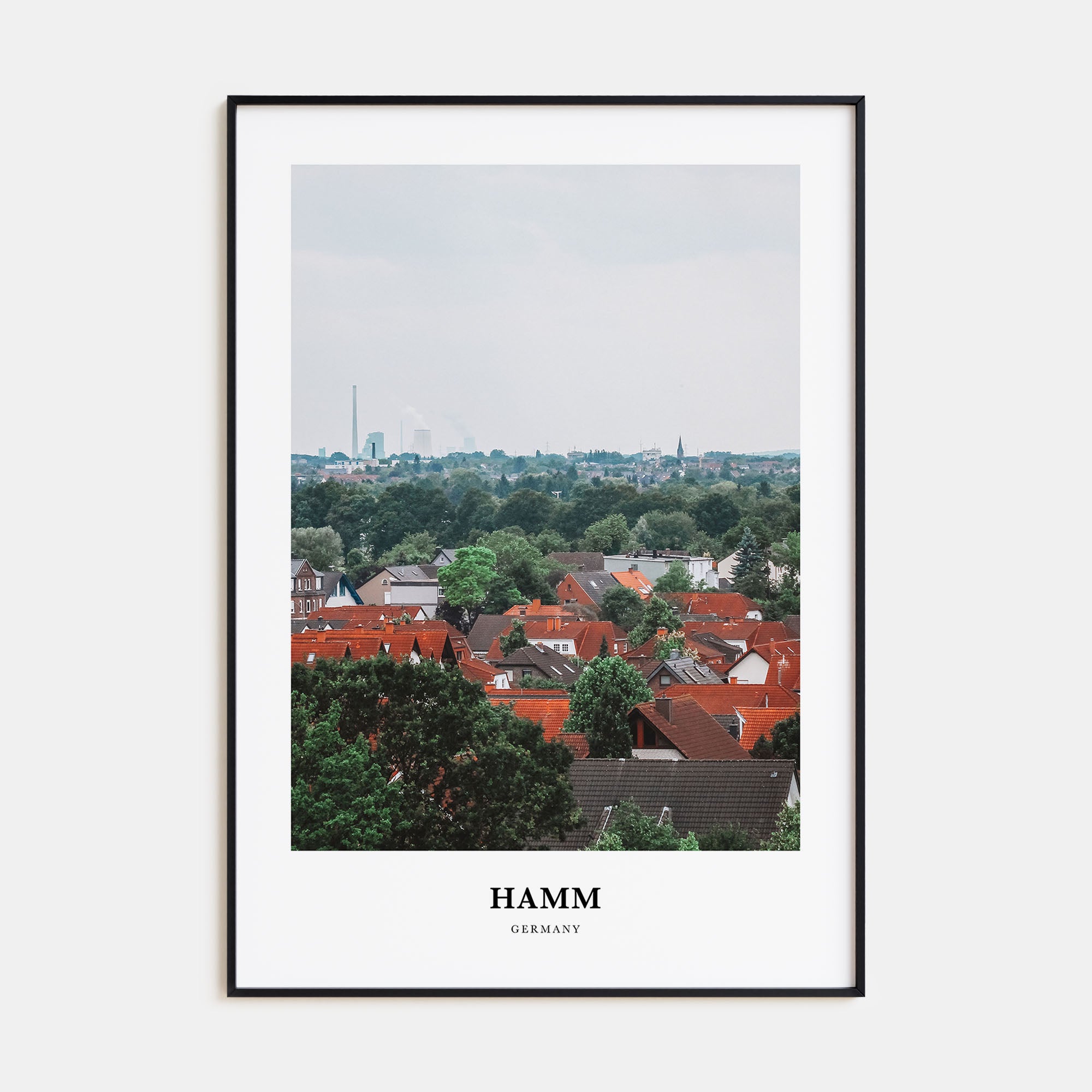 Hamm Portrait Color Poster