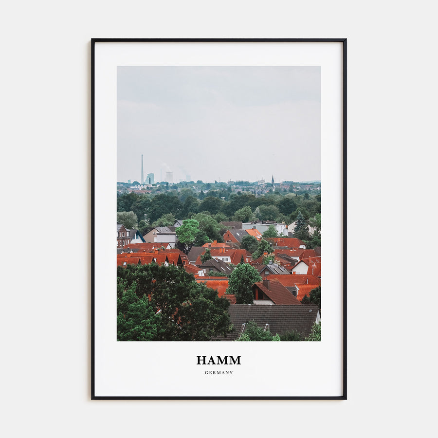 Hamm Portrait Color Poster