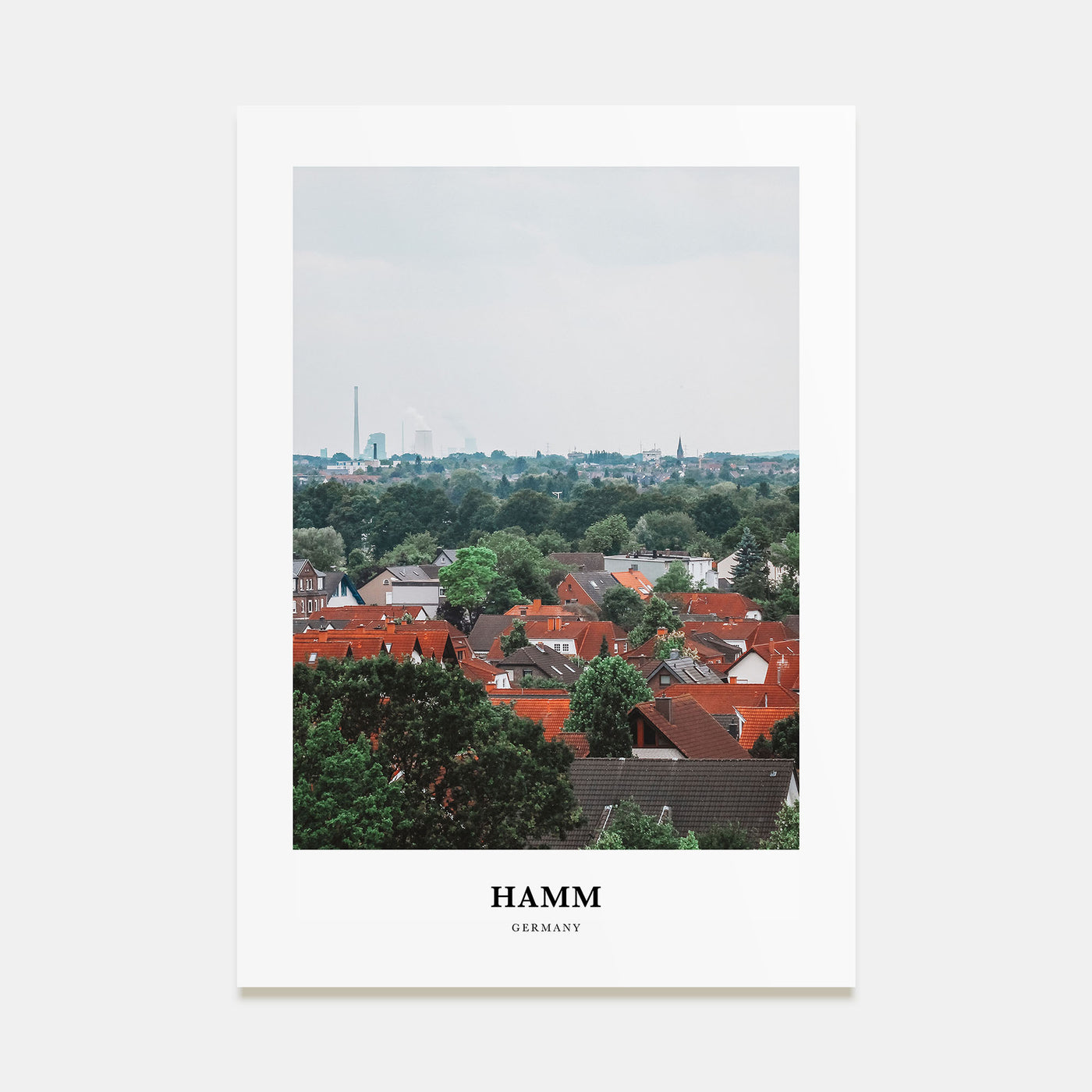 Hamm Portrait Color Poster