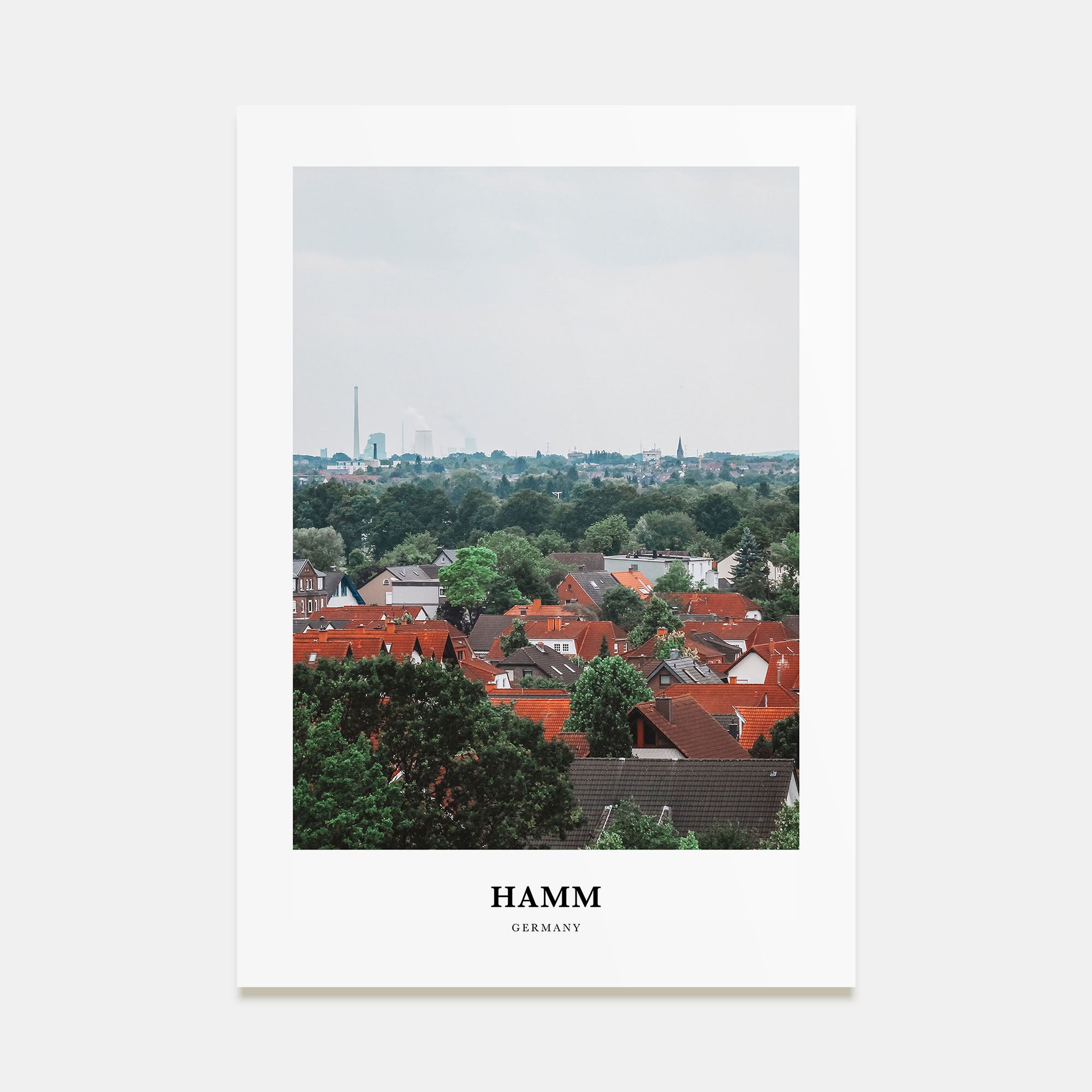 Hamm Portrait Color Poster