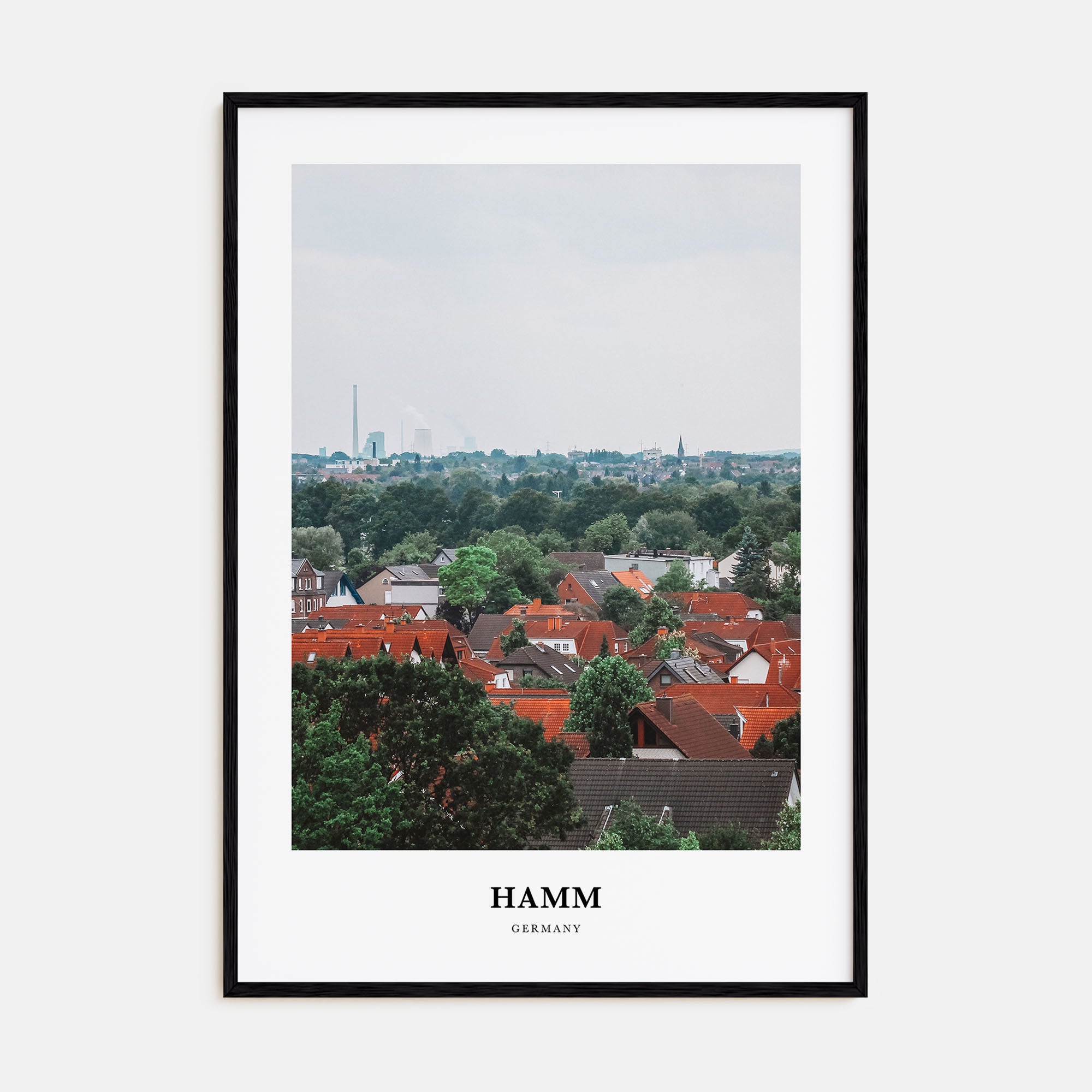 Hamm Portrait Color Poster