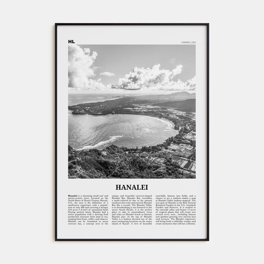 Hanalei Travel B&W Poster