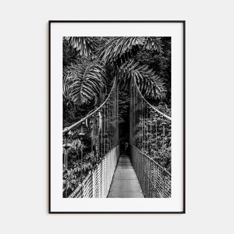 Hanging Bridge Photo B&W Poster