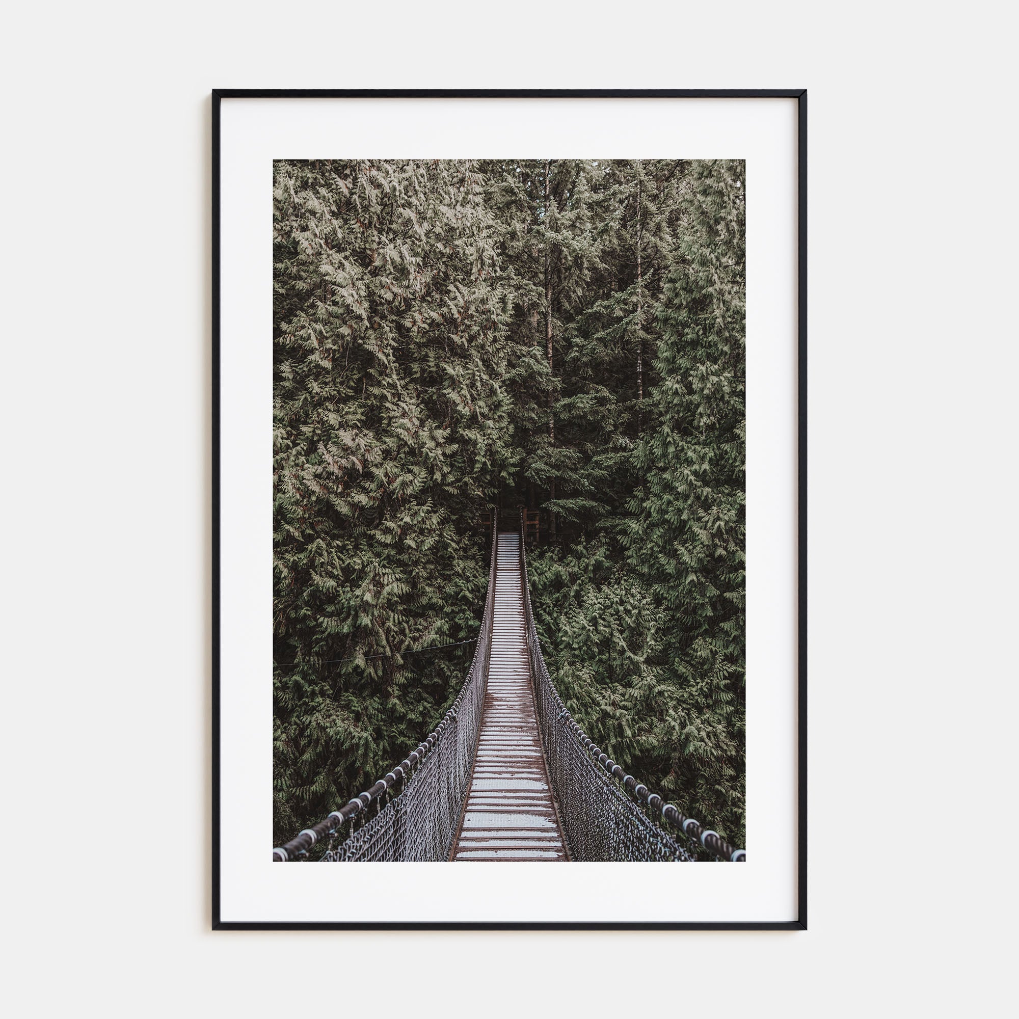 Hanging Bridge Photo Color Poster