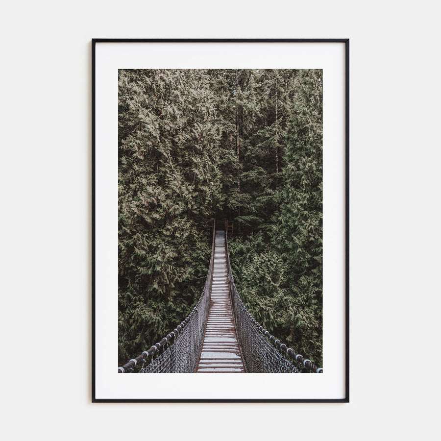 Hanging Bridge Photo Color Poster