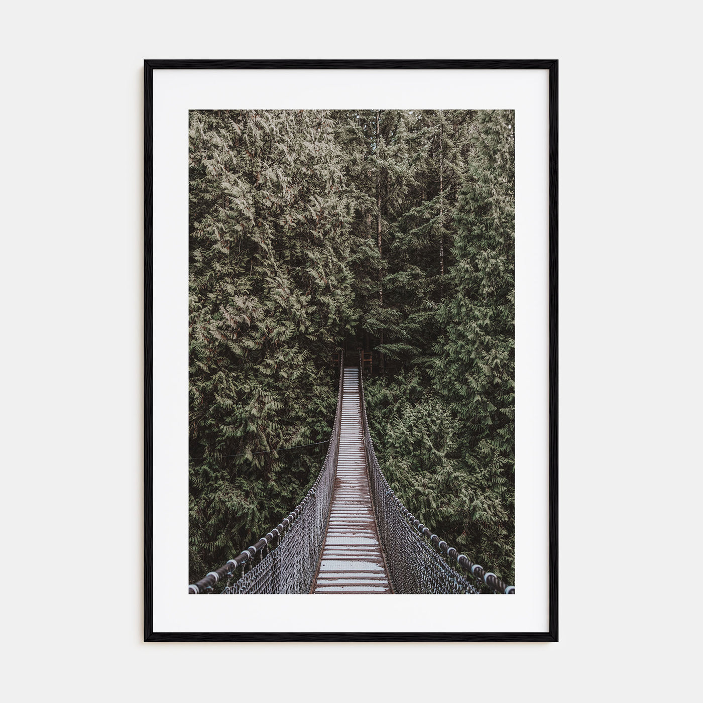 Hanging Bridge Photo Color Poster