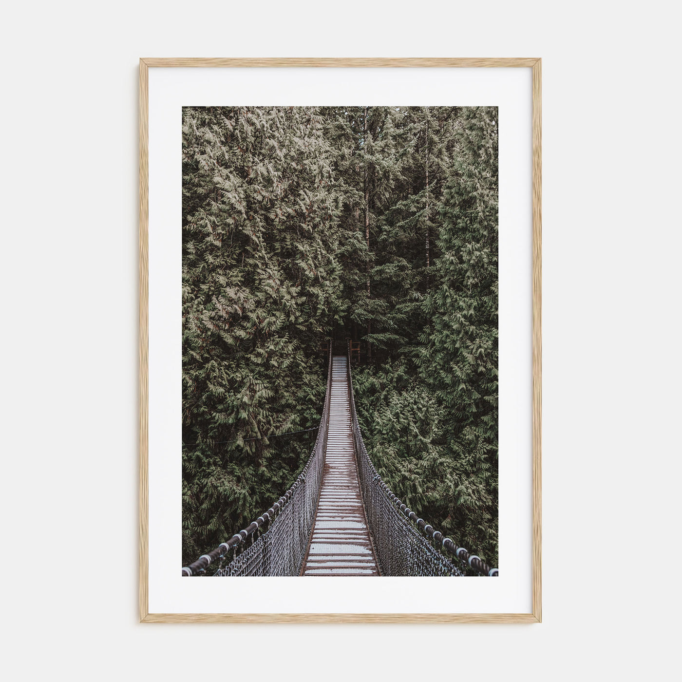 Hanging Bridge Photo Color Poster